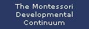 Developmental Continuum
